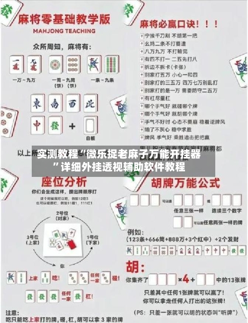 实测教程“微乐捉老麻子万能开挂器	”详细外挂透视辅助软件教程-第1张图片