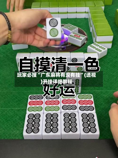 玩家必搜“广东麻将有没有挂”(透视)开挂详细教程-第1张图片