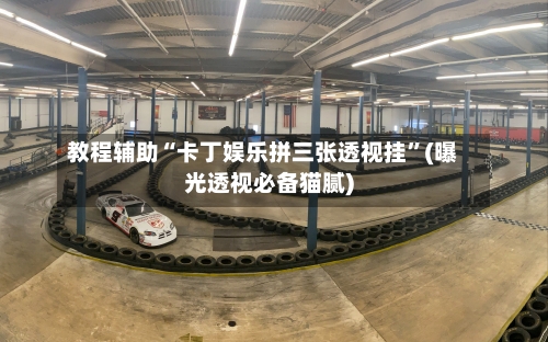 教程辅助“卡丁娱乐拼三张透视挂”(曝光透视必备猫腻)-第3张图片