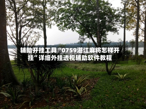 辅助开挂工具“0759湛江麻将怎样开挂”详细外挂透视辅助软件教程-第2张图片