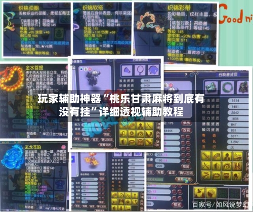 玩家辅助神器“桃乐甘肃麻将到底有没有挂”详细透视辅助教程-第1张图片