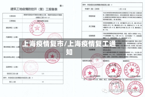 上海疫情复市/上海疫情复工通知-第2张图片