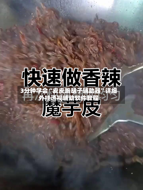 3分钟学会“皮皮跑胡子辅助器	”详细外挂透视辅助软件教程-第1张图片