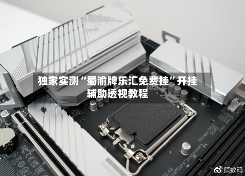 独家实测“蜀渝牌乐汇免费挂”开挂辅助透视教程-第1张图片