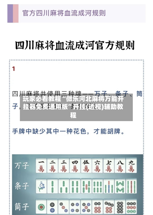 玩家必看教程“微乐河北麻将万能开挂器免费通用版”开挂(透视)辅助教程-第3张图片