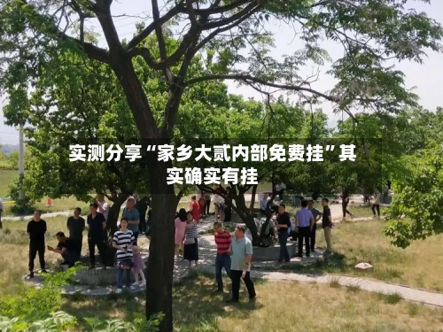 实测分享“家乡大贰内部免费挂”其实确实有挂-第3张图片