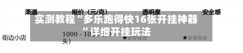实测教程“多乐跑得快16张开挂神器”详细开挂玩法-第2张图片