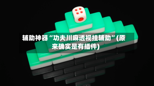 辅助神器“功夫川麻透视挂辅助”(原来确实是有插件)-第3张图片