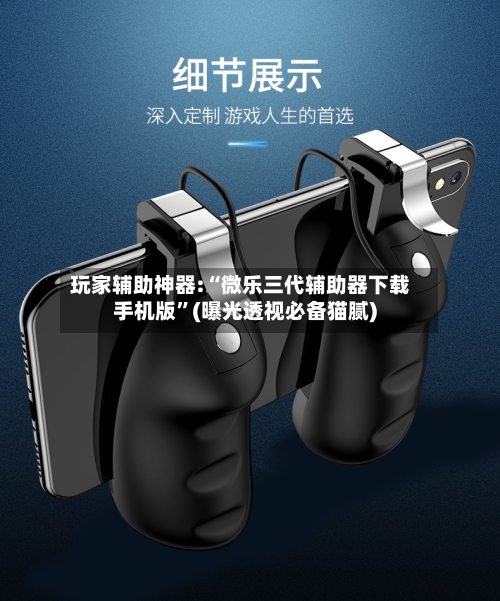玩家辅助神器:“微乐三代辅助器下载手机版”(曝光透视必备猫腻)-第1张图片