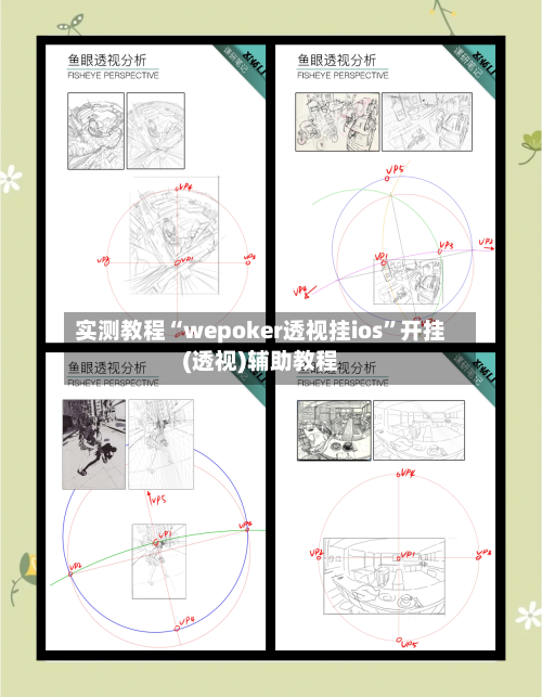 实测教程“wepoker透视挂ios”开挂(透视)辅助教程-第1张图片