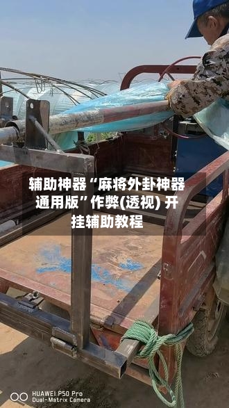 辅助神器“麻将外卦神器通用版”作弊(透视) 开挂辅助教程-第3张图片