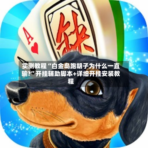 实测教程“白金岛跑胡子为什么一直输?	”开挂辅助脚本+详细开挂安装教程-第2张图片