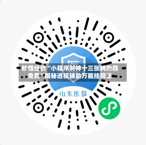 秒懂经验“小程序财神十三张辅助器免费”揭秘透视辅助万能挂用法-第2张图片