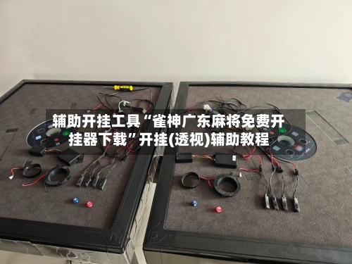 辅助开挂工具“雀神广东麻将免费开挂器下载”开挂(透视)辅助教程-第1张图片