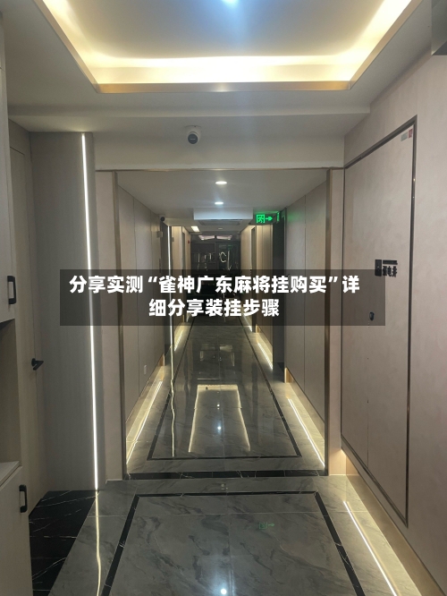 分享实测“雀神广东麻将挂购买”详细分享装挂步骤-第3张图片