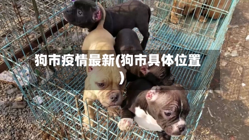 狗市疫情最新(狗市具体位置)-第2张图片