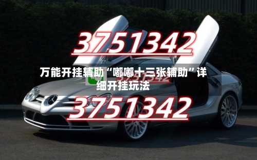 万能开挂辅助“嘟嘟十三张辅助”详细开挂玩法-第1张图片