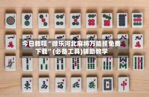 今日教程“微乐河北麻将万能挂免费下载”(必备工具)辅助教学-第2张图片
