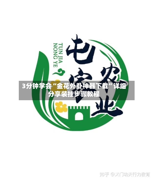 3分钟学会“金花外卦神器下载”详细分享装挂步骤教程-第1张图片