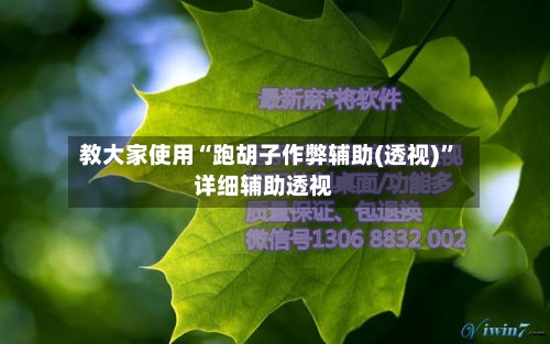 教大家使用“跑胡子作弊辅助(透视)”详细辅助透视-第2张图片