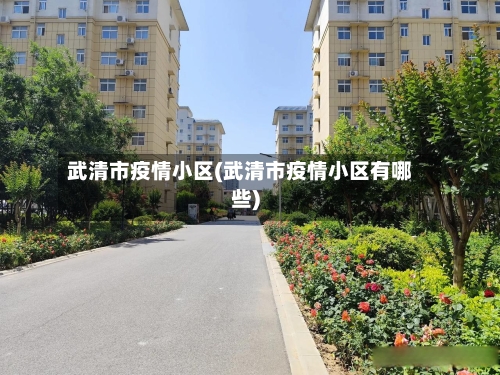 武清市疫情小区(武清市疫情小区有哪些)-第1张图片