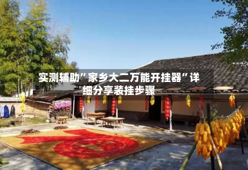 实测辅助”家乡大二万能开挂器	”详细分享装挂步骤-第2张图片