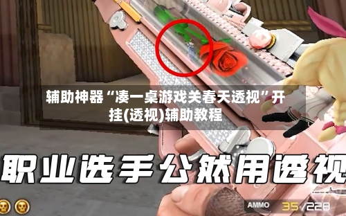 辅助神器“凑一桌游戏关春天透视”开挂(透视)辅助教程-第1张图片