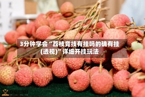 3分钟学会“荔枝竞技有挂吗的确有挂(透视)”详细开挂玩法-第1张图片
