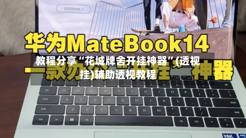 教程分享“花城牌舍开挂神器”(透视挂)辅助透视教程-第1张图片