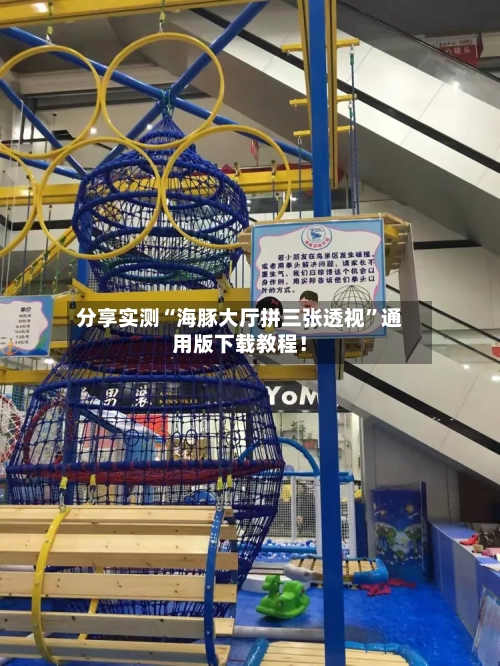 分享实测“海豚大厅拼三张透视”通用版下载教程！-第1张图片