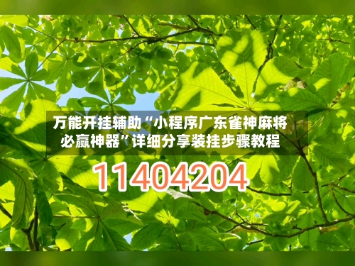 万能开挂辅助“小程序广东雀神麻将必赢神器”详细分享装挂步骤教程-第2张图片