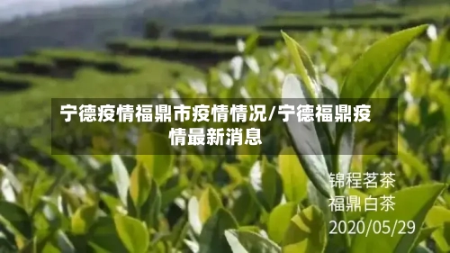 宁德疫情福鼎市疫情情况/宁德福鼎疫情最新消息-第1张图片