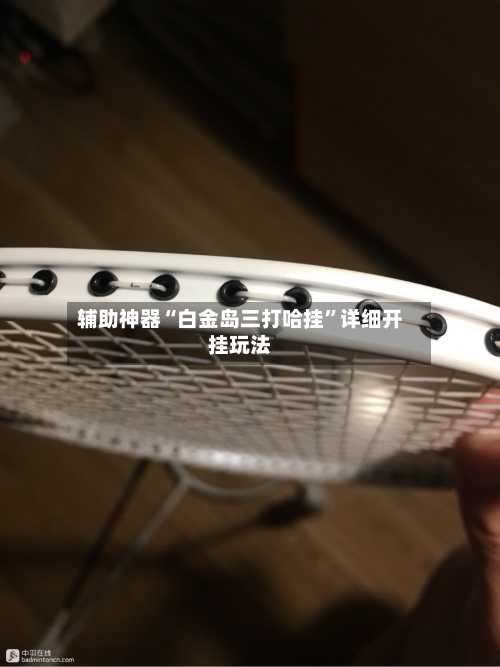 辅助神器“白金岛三打哈挂”详细开挂玩法-第1张图片