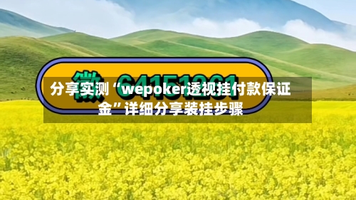 分享实测“wepoker透视挂付款保证金	”详细分享装挂步骤-第1张图片