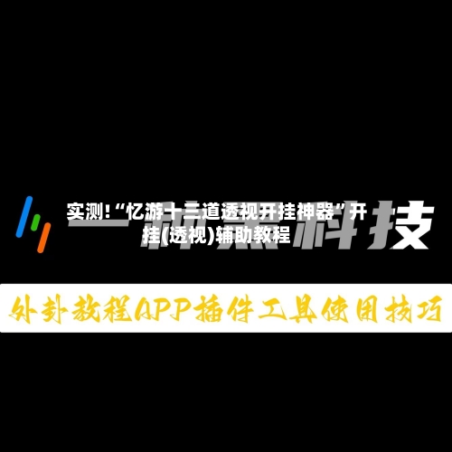 实测!“忆游十三道透视开挂神器”开挂(透视)辅助教程-第1张图片