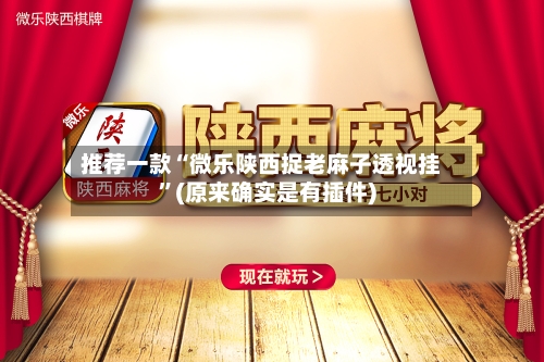 推荐一款“微乐陕西捉老麻子透视挂	”(原来确实是有插件)-第2张图片