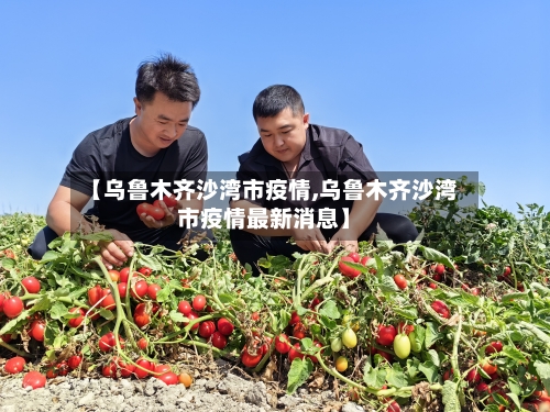 【乌鲁木齐沙湾市疫情,乌鲁木齐沙湾市疫情最新消息】-第3张图片