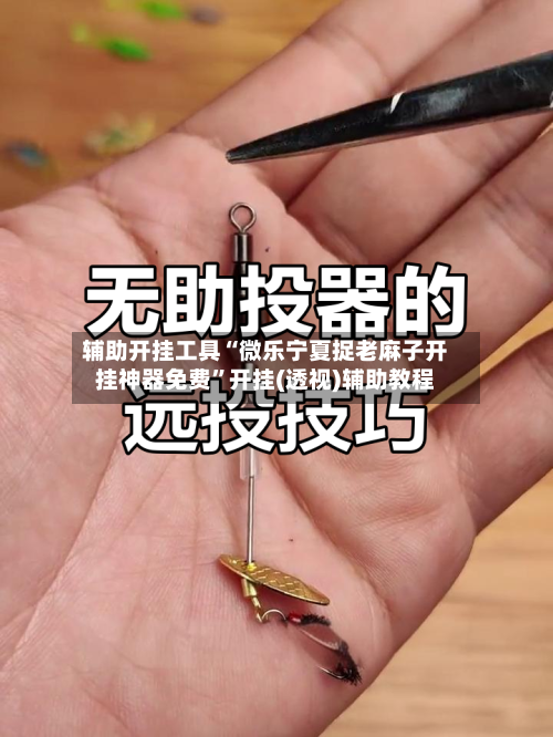 辅助开挂工具“微乐宁夏捉老麻子开挂神器免费”开挂(透视)辅助教程-第3张图片