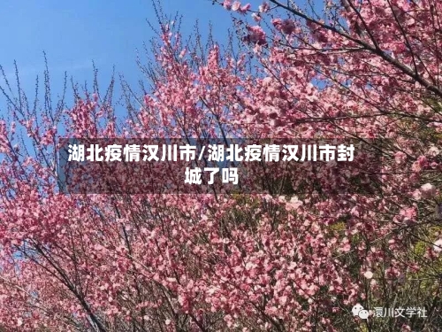湖北疫情汉川市/湖北疫情汉川市封城了吗-第1张图片