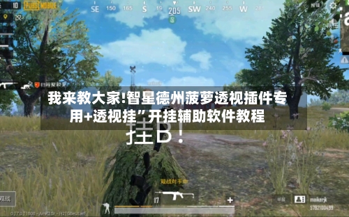 我来教大家!智星德州菠萝透视插件专用+透视挂”开挂辅助软件教程-第2张图片