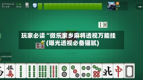 玩家必读“微乐家乡麻将透视万能挂	”(曝光透视必备猫腻)-第1张图片