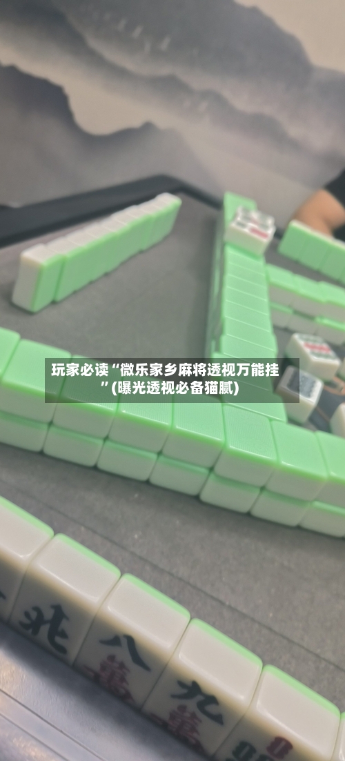 玩家必读“微乐家乡麻将透视万能挂”(曝光透视必备猫腻)-第2张图片