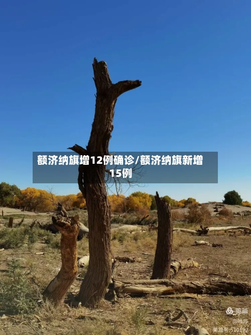 额济纳旗增12例确诊/额济纳旗新增15例-第1张图片