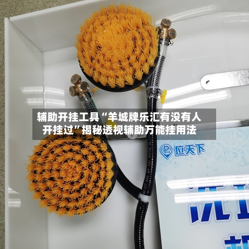 辅助开挂工具“羊城牌乐汇有没有人开挂过”揭秘透视辅助万能挂用法-第1张图片