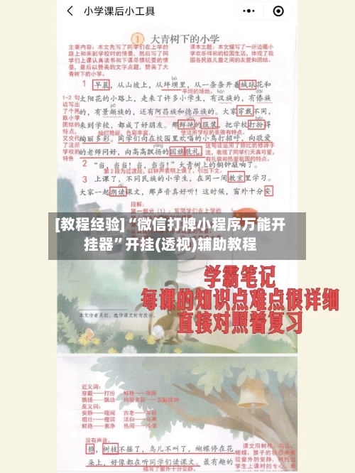 [教程经验]“微信打牌小程序万能开挂器	”开挂(透视)辅助教程-第1张图片