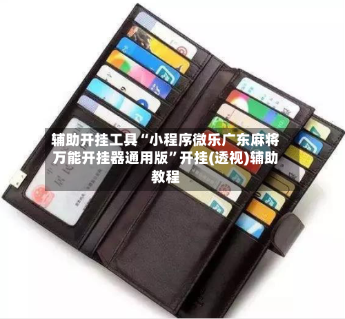 辅助开挂工具“小程序微乐广东麻将万能开挂器通用版”开挂(透视)辅助教程-第1张图片