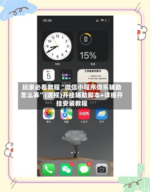 玩家必看教程“微信小程序微乐辅助怎么弄”(透视)开挂辅助脚本+详细开挂安装教程-第3张图片