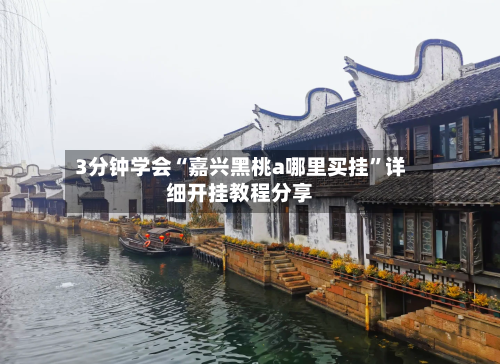 3分钟学会“嘉兴黑桃a哪里买挂	”详细开挂教程分享-第2张图片