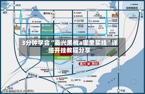 3分钟学会“嘉兴黑桃a哪里买挂”详细开挂教程分享-第1张图片