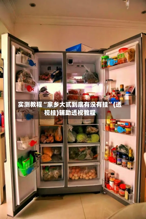 实测教程“家乡大贰到底有没有挂”(透视挂)辅助透视教程-第1张图片